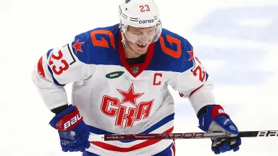 Яшкин затруднился определить, какую страну считает своей родиной